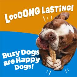 A happy dog chewing on a Purina Busy Chewnola Large Dog Chew with text: Long Lasting! Busy Dogs are Happy Dogs!