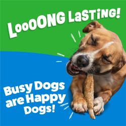 Un perro feliz masticando un masticable Purina Busy Ribhide para perros grandes con el texto: ¡De larga duración! ¡Los perros ocupados son perros felices!