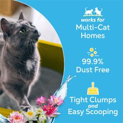 Un gato gris con texto de la arena para gatos Tidy Cats: para hogares con varios gatos, 99.9 % libre de polvo, grumos compactos y fácil de recoger.