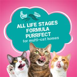Three cats with text promoting Friskies Land & Sea Adventures all-life-stages formula for multi-cat homes.