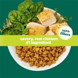 Un tazon con espinacas, granos, trozos de pollo cocido y croquetas secas, etiquetado con "sabroso, pollo real como ingrediente numero 1" y "cero rellenos" sobre un fondo verde.