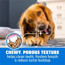 Golden retriever chewing on a Purina DentaLife Daily Oral Care large dog dental treat.