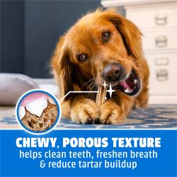 Golden retriever chewing on a Purina DentaLife Daily Oral Care large dog dental treat.