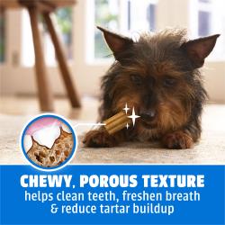 A Yorkie chewing a Purina DentaLife Daily Oral Care dental dog treat for small dogs.