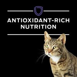 El alimento seco para gatos Pro Plan Dietas Veterinarias HA Formula Hidrolizada esta elaborado para proporcionar una nutricion rica en antioxidantes.