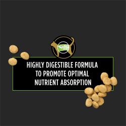 El alimento seco para gatos Pro Plan Dietas Veterinarias HA es altamente digestible para favorecer una absorcion optima de nutrientes.