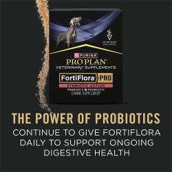 Purina Pro Plan FortiFlora Pro canine probiotic supplement to support daily ongoing digestive health