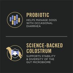Purina Pro Plan Veterinary Supplements FortiFlora Plus probiotic and colostrum helps manage diarrhea and support gut health.