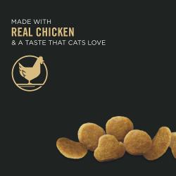 Made with real chicken and a taste cats love, showing pieces of dry kibble.