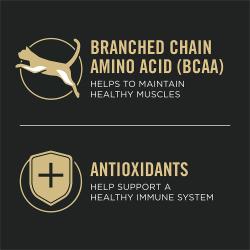 Pro Plan Veterinary Supplements Feline Joint Care is made with branched chain amino acids and antioxidants