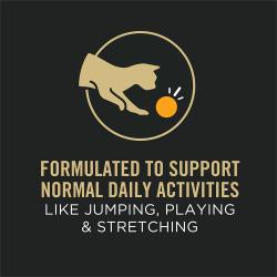 Pro Plan Veterinary Supplements Feline Joint Care is formulated to support normal daily activities like jumping and playing