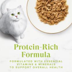 Fancy Feast Grilled Salmon Feast wet cat food in gravy with white cat; protein-rich formula with vitamins and minerals.
