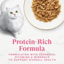 Fancy Feast Grilled Salmon and Shrimp Feast wet cat food in gravy with white cat; protein-rich formula with vitamins.