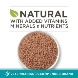 Purina ONE Grain Free Beef Wet Cat Food is natural with added vitamins, minerals, and nutrients.