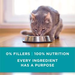 Purina ONE Grain Free Chicken Wet Cat Food has 0% fillers and 100% nutrition.