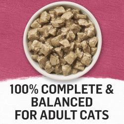 100 % completo y equilibrado