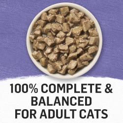 100 % completo y equilibrado