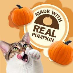 Made with real pumpkin