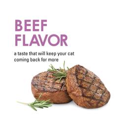 Beef flavor. A taste that will keep your cat coming back for more.