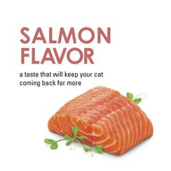 Sabor salmón. Un sabor que hará que tu gato vuelva por más.