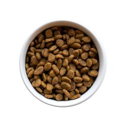 alimento seco para gatos reductor de alérgenos