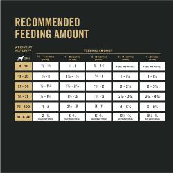 Cantidad diaria de alimento recomendada