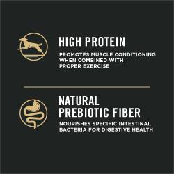 rico en proteínas, fibra prebiótica natural