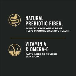 fibra prebiótica natural, vitamina a y omega 6