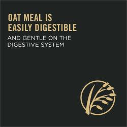 la avena se digiere con facilidad y no daña el aparato digestivo