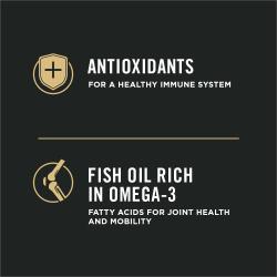 antioxidantes, aceite de pescado rico en omega 3