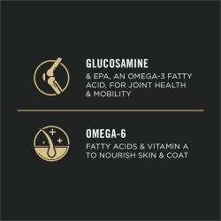 Glucosamina, omega 6