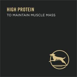 Alto en proteínas para mantener la masa muscular