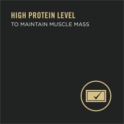 alto nivel de proteínas para mantener la masa muscular