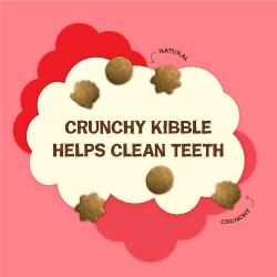 Crunchy kibble helps clean teeth