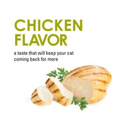 chicken flavor