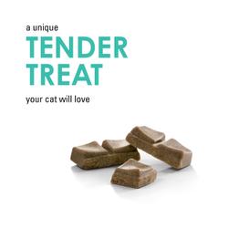 unique tender treat