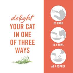 Deleita a tu gato de tres maneras distintas con la mano, en un plato, como complemento.