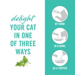 Deleita a tu gato de tres maneras. Con tu mano, en un tazón o como complemento.