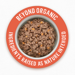 recipiente de alimento para perros beyond organic