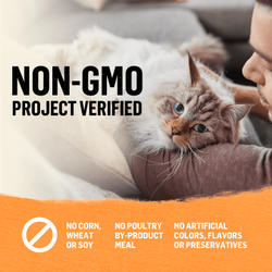 Sin organismos modificados genéticamente (genetically modified organism, GMO)