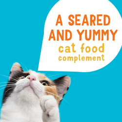 Un complemento de alimento para gatos sabroso y sellado