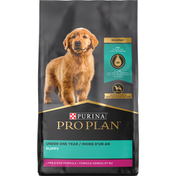 Fórmula para cachorros en desarrollo de cordero y arroz Purina Pro Plan