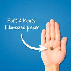 Bocadillos de adiestramiento Puppy Chow: suave y jugoso