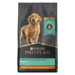 Fórmula sabor pollo y arroz para cachorros en desarrollo de Purina Pro Plan