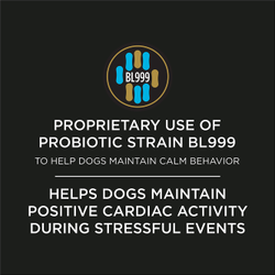 Proprietary use of probiotic strain BL999 to help dogs maintain calm behavior. Helps dogs maintain positive cardiac activity during stressful events.