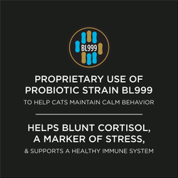 Proprietary use of probiotic strain BL999 to help cats maintain calm behavior. Helps blunt cortisol, a marker of stress, and supports a healthy immune system.