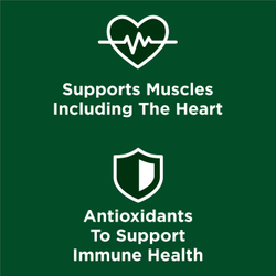 A green illustrated heart sits above text that reads "supports muscles including the heart." Below, a green and white shield is accompanied by text reading "antioxidants to support immune health"