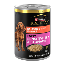 Purina Pro Plan Puppy Sensitive Skin and Stomach Salmon and Rice wet dog food.