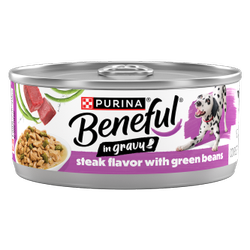 Purina Beneful Steak Flavor with Green Beans Wet Dog Food in Dog Food Gravy .