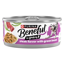 Purina Beneful Steak Flavor with Green Beans Wet Dog Food in Dog Food Gravy .